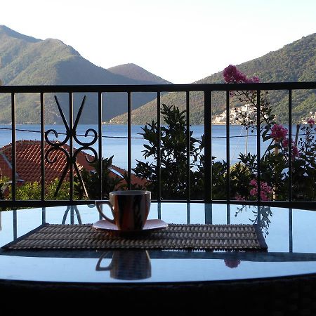 Apartments Aleksandra ริซาน ภายนอก รูปภาพ