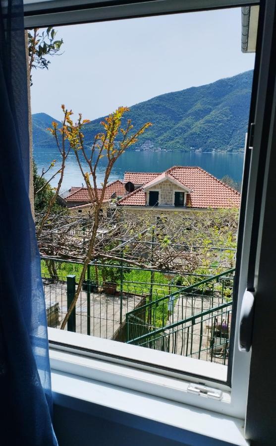 Apartments Aleksandra ริซาน ภายนอก รูปภาพ