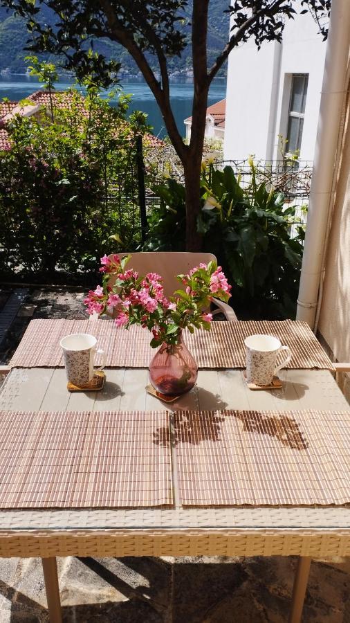 Apartments Aleksandra ริซาน ภายนอก รูปภาพ