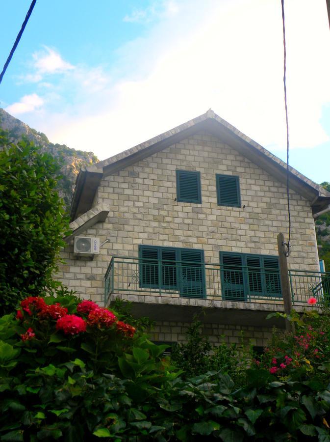 Apartments Aleksandra ริซาน ภายนอก รูปภาพ